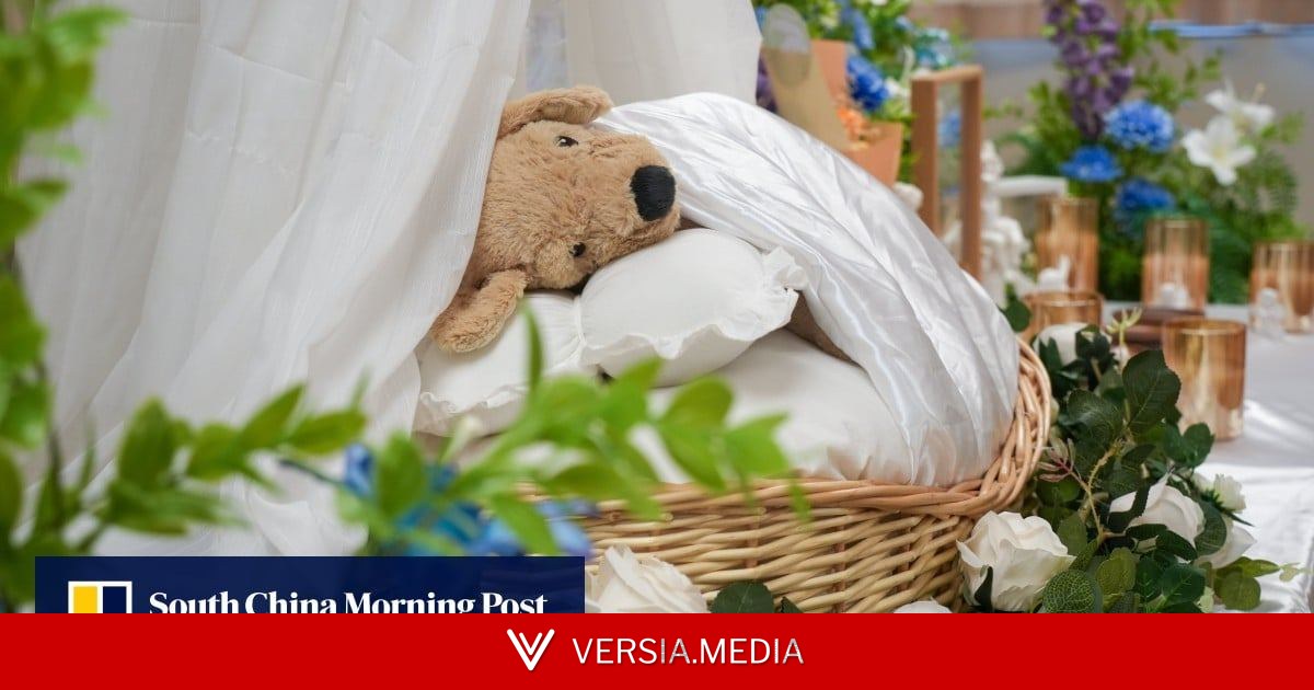‘Bury me with them’: animal-lovers want same cemetery plots as their pets