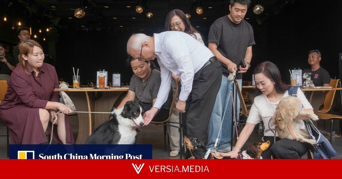 Watchdog urges pet owners to be mindful of terms and conditions of insurance plans