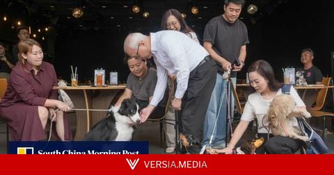 Watchdog urges pet owners to be mindful of terms and conditions of insurance plans