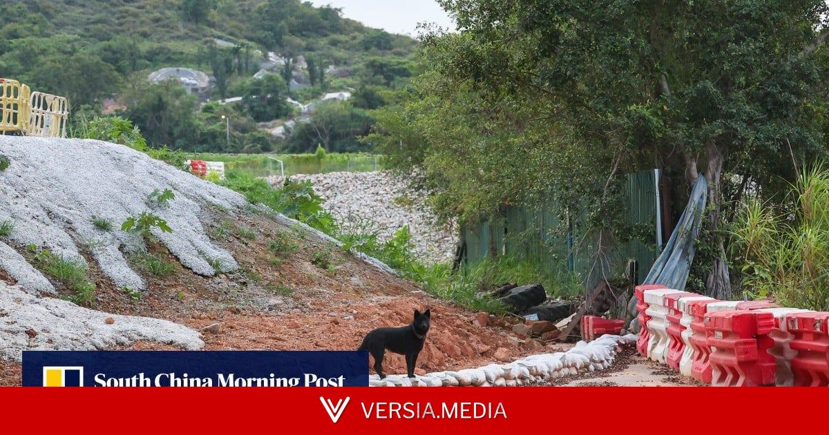 Surge in abandoned animals amid land clearance for Northern Metropolis development