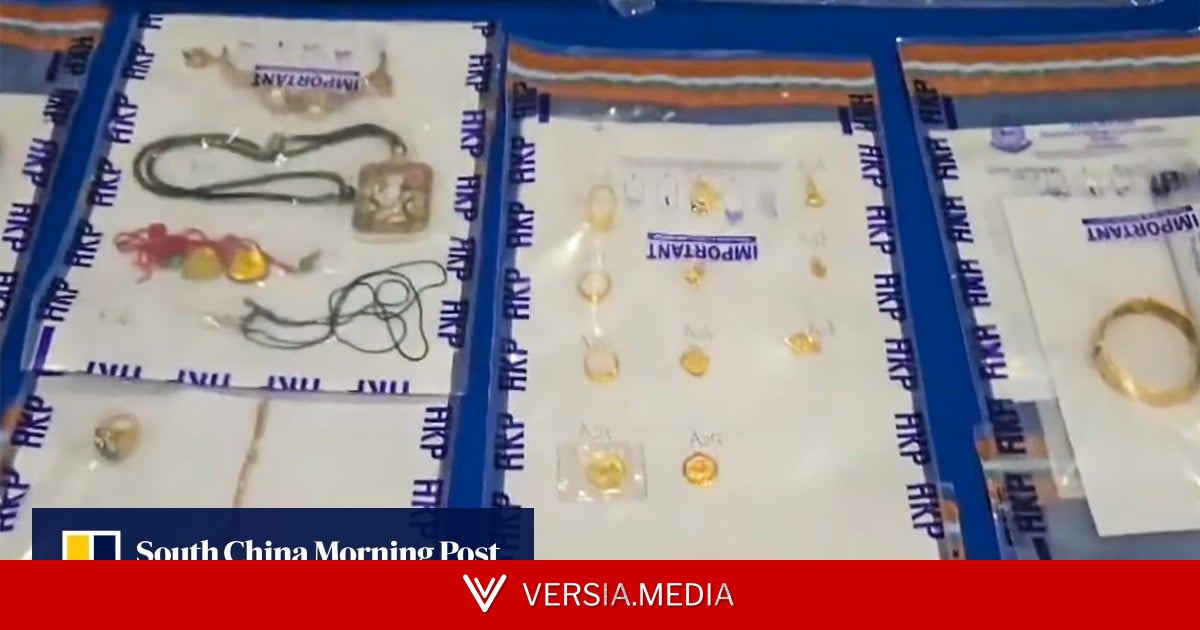 9 arrested after HK$2.7 million in cash, goods stolen from Hong Kong farm